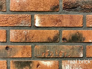 Кирпич Real Brick глина 1WDF.
