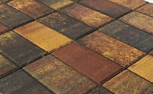 Тротуарная плитка Прямоугольник, Color Mix "Мальва", h=60 мм - Фото 