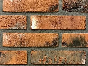 Кирпич Real Brick глина 0.5 пф.